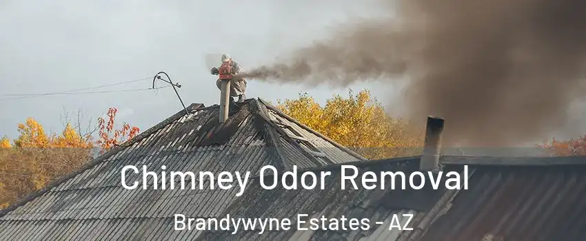 Chimney Odor Removal Brandywyne Estates - AZ