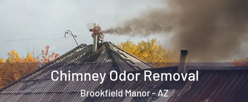 Chimney Odor Removal Brookfield Manor - AZ