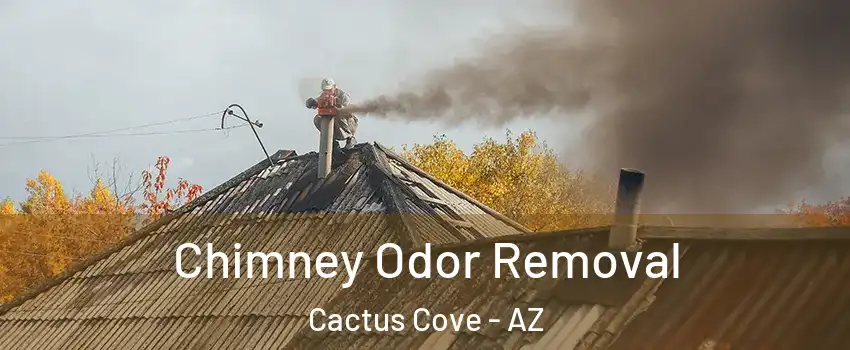 Chimney Odor Removal Cactus Cove - AZ