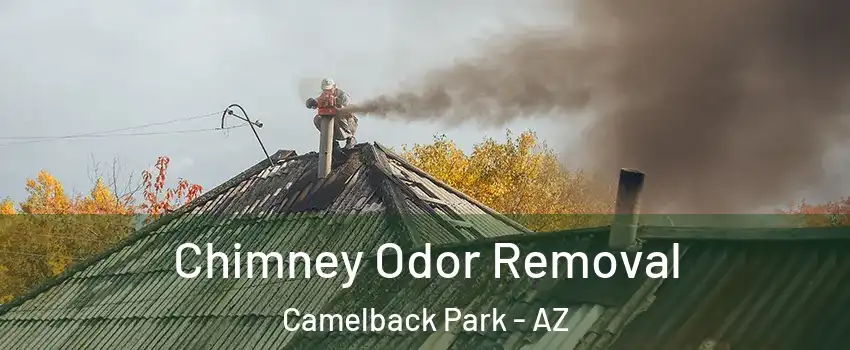 Chimney Odor Removal Camelback Park - AZ