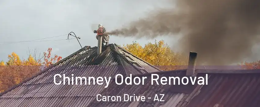 Chimney Odor Removal Caron Drive - AZ