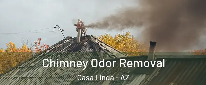 Chimney Odor Removal Casa Linda - AZ
