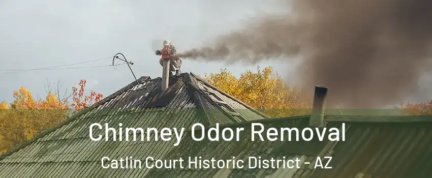 Chimney Odor Removal Catlin Court Historic District - AZ