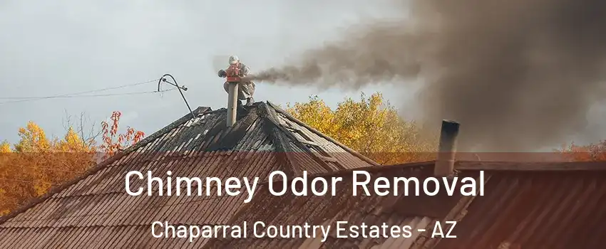 Chimney Odor Removal Chaparral Country Estates - AZ