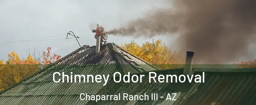 Chimney Odor Removal Chaparral Ranch III - AZ