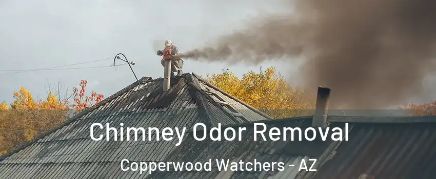 Chimney Odor Removal Copperwood Watchers - AZ