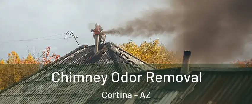 Chimney Odor Removal Cortina - AZ