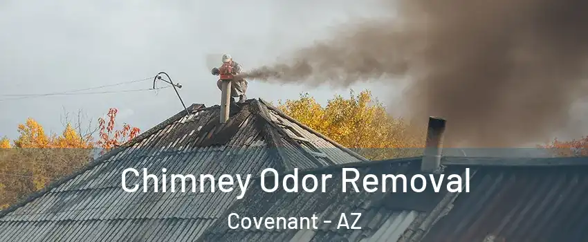 Chimney Odor Removal Covenant - AZ