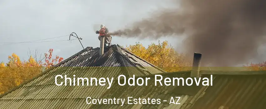 Chimney Odor Removal Coventry Estates - AZ