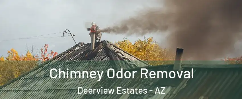 Chimney Odor Removal Deerview Estates - AZ