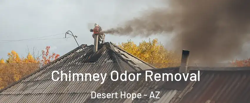 Chimney Odor Removal Desert Hope - AZ