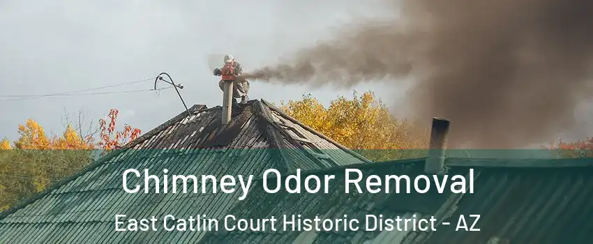 Chimney Odor Removal East Catlin Court Historic District - AZ