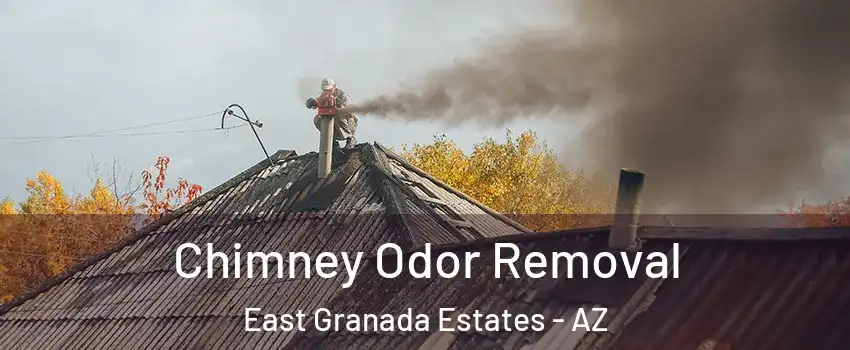 Chimney Odor Removal East Granada Estates - AZ