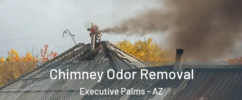 Chimney Odor Removal Executive Palms - AZ