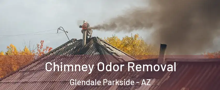 Chimney Odor Removal Glendale Parkside - AZ