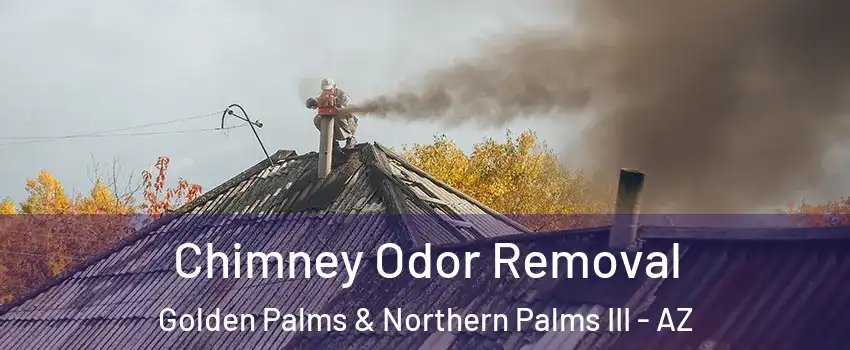 Chimney Odor Removal Golden Palms & Northern Palms III - AZ