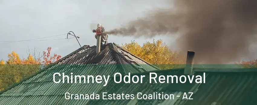 Chimney Odor Removal Granada Estates Coalition - AZ