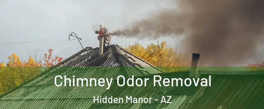 Chimney Odor Removal Hidden Manor - AZ