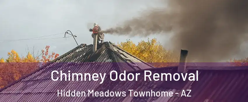 Chimney Odor Removal Hidden Meadows Townhome - AZ