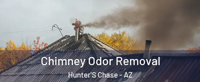 Chimney Odor Removal Hunter'S Chase - AZ