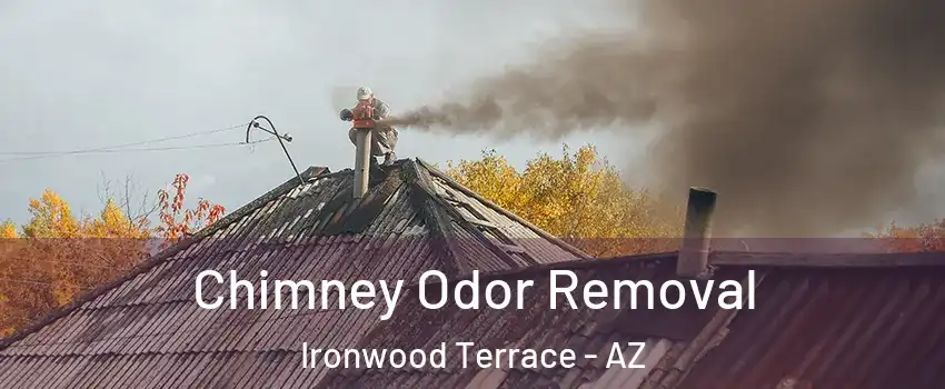 Chimney Odor Removal Ironwood Terrace - AZ