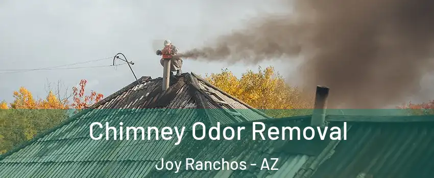 Chimney Odor Removal Joy Ranchos - AZ