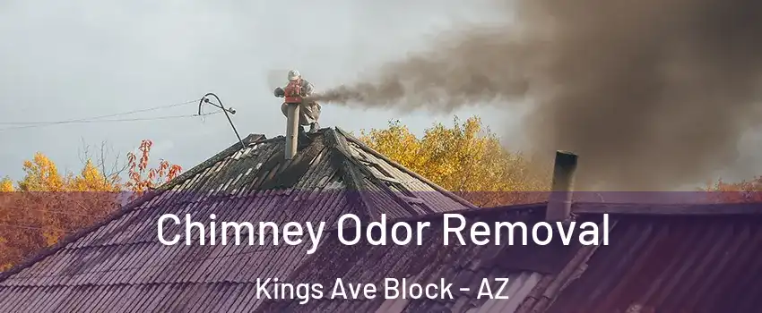 Chimney Odor Removal Kings Ave Block - AZ