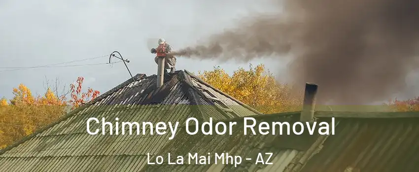 Chimney Odor Removal Lo La Mai Mhp - AZ