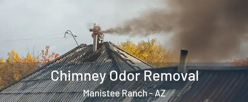 Chimney Odor Removal Manistee Ranch - AZ