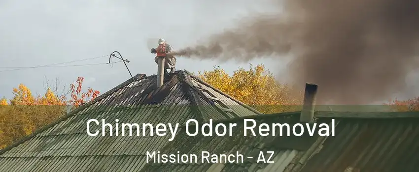Chimney Odor Removal Mission Ranch - AZ