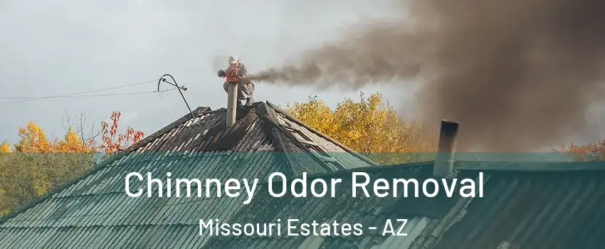 Chimney Odor Removal Missouri Estates - AZ