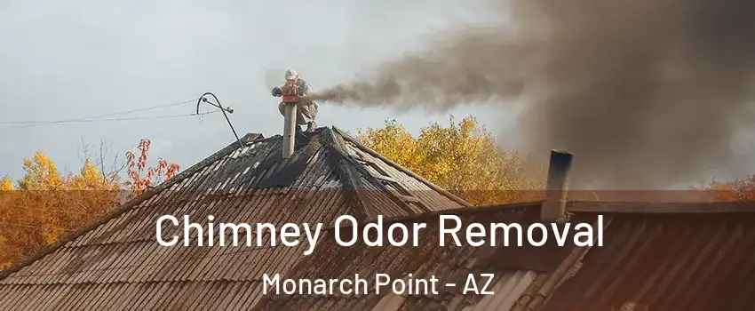 Chimney Odor Removal Monarch Point - AZ