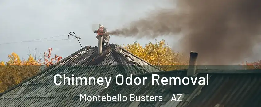 Chimney Odor Removal Montebello Busters - AZ