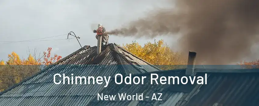 Chimney Odor Removal New World - AZ
