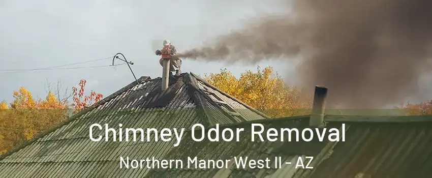 Chimney Odor Removal Northern Manor West II - AZ