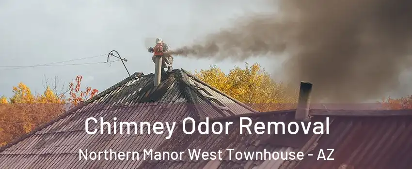 Chimney Odor Removal Northern Manor West Townhouse - AZ