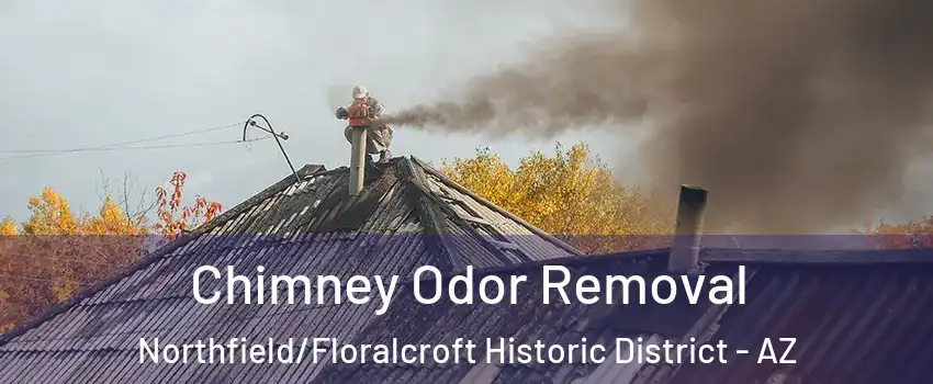 Chimney Odor Removal Northfield/Floralcroft Historic District - AZ