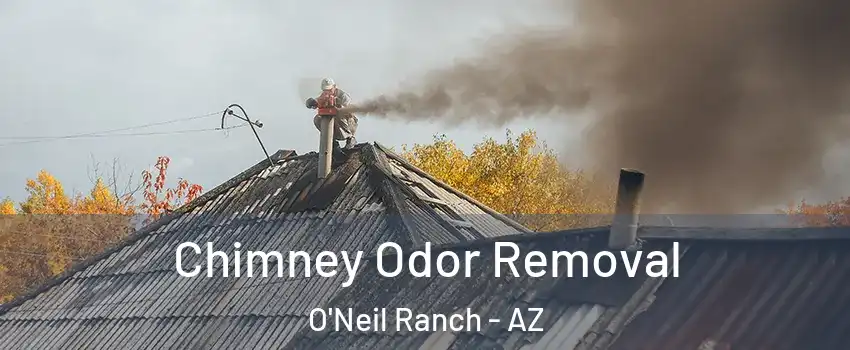 Chimney Odor Removal O'Neil Ranch - AZ