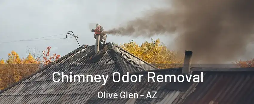 Chimney Odor Removal Olive Glen - AZ