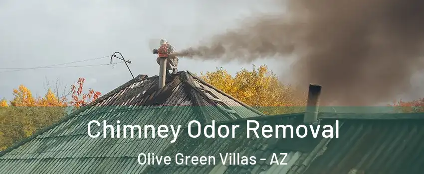 Chimney Odor Removal Olive Green Villas - AZ