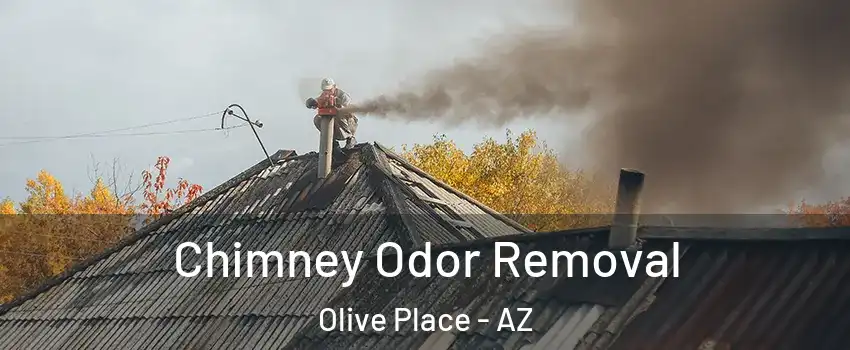 Chimney Odor Removal Olive Place - AZ