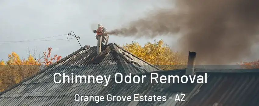 Chimney Odor Removal Orange Grove Estates - AZ