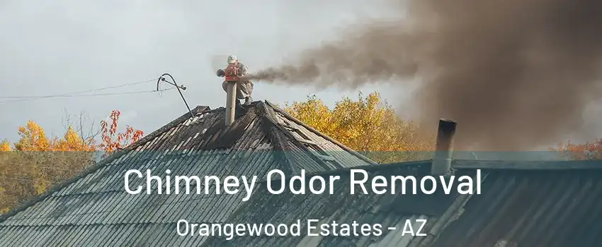 Chimney Odor Removal Orangewood Estates - AZ