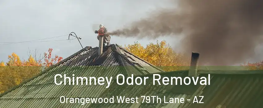 Chimney Odor Removal Orangewood West 79Th Lane - AZ