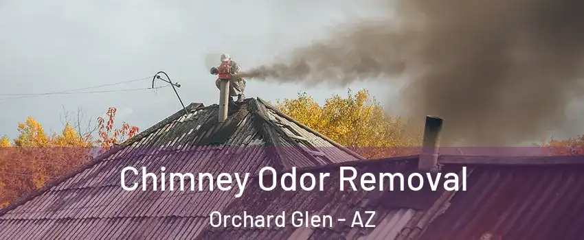 Chimney Odor Removal Orchard Glen - AZ