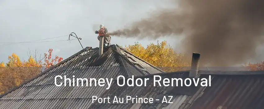 Chimney Odor Removal Port Au Prince - AZ