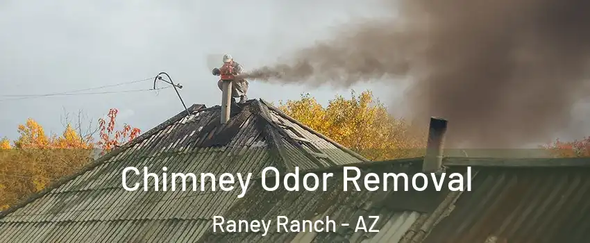 Chimney Odor Removal Raney Ranch - AZ
