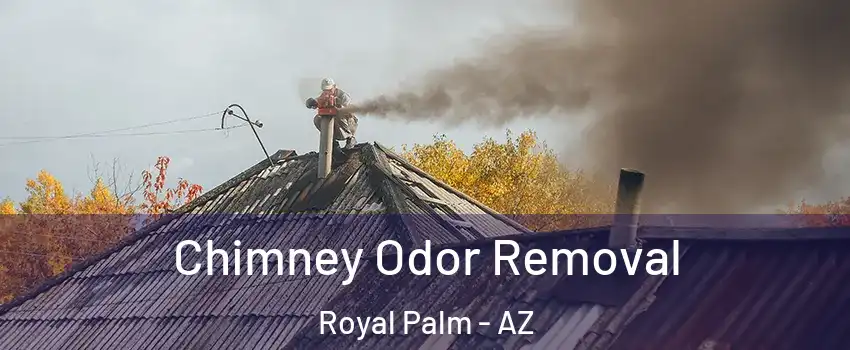 Chimney Odor Removal Royal Palm - AZ