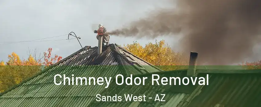 Chimney Odor Removal Sands West - AZ