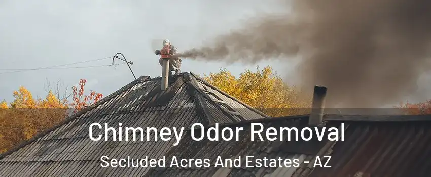 Chimney Odor Removal Secluded Acres And Estates - AZ
